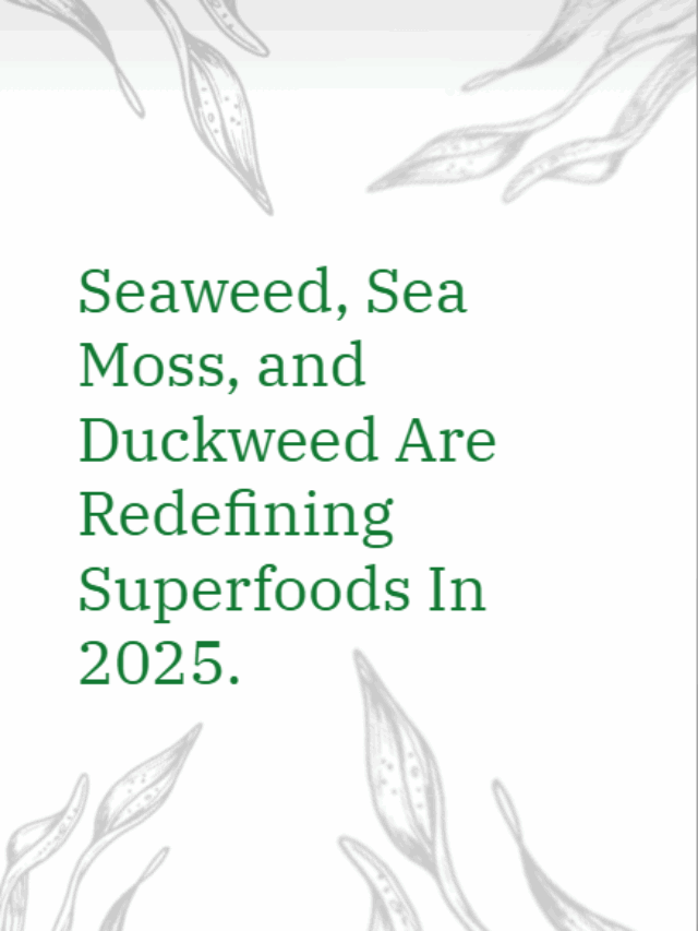 Screenshot 2025-07-29 150807